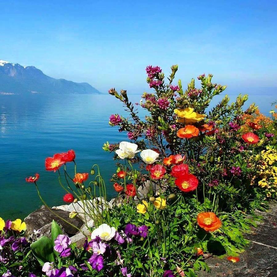 Gozde Deniz Boutique Hotel Бодрум Екстер'єр фото